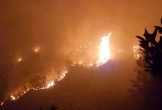 Hai kiểm lâm viên tử vong khi chữa cháy rừng đặc dụng
