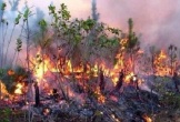 Cháy lớn tại Brazil, ít nhất 10 người thiệt mạng