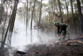 Khống chế thành công vụ cháy rừng ở Nghệ An