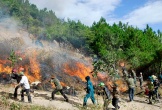 Quyết liệt triển khai có hiệu quả các biện pháp phòng cháy, chữa cháy rừng trên địa bàn tỉnh