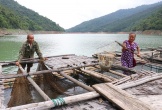 Tạo sinh kế trên lòng hồ thủy điện lớn nhất Bắc Trung Bộ