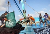 Nghệ An kiện toàn Ban Chỉ đạo cấp tỉnh về chống khai thác hải sản bất hợp pháp, không báo cáo và không theo quy định