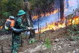 Cảnh báo cháy rừng cấp nguy hiểm