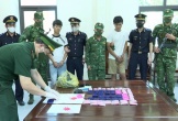 Bộ đội Biên phòng tỉnh Hà Tĩnh bắt 2 đối tượng vận chuyển 12.000 viên m.a t.ú.y tổng hợp