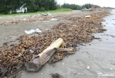 Bãi biển Diễn Châu bị rác 'bủa vây'