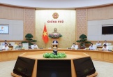 Thủ tướng Chính phủ phân công nhiệm vụ các Phó Thủ tướng