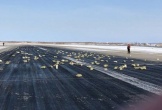 Gần 200 thỏi vàng trị giá hơn 9.000 tỷ đồng bất ngờ rơi khỏi máy bay