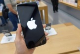 Cách lạ để 'dùng chùa' ứng dụng trị giá hàng trăm USD ở Apple Store