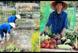 Chuyển khu vườn đủ loại hoa quả miền Tây sang Nhật, 2 thanh niên Việt nhận phản ứng lạ từ hàng xóm