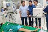 Vụ 7 học sinh bị ong đốt: 2 em phải thở máy, tình trạng nguy kịch