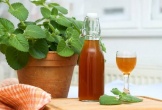 5 lý do bạn nên trồng một cây húng chanh để bảo vệ sức khỏe
