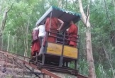 Đứt cáp treo tự chế, 8 nhà sư tử vong