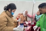 Trưởng thôn bị gấu rừng tấn công trên đường đi làm về