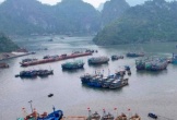 Khởi tố một Phó giám đốc doanh nghiệp vì cưỡng đoạt tài sản