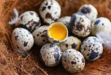 Giá trị dinh dưỡng bất ngờ trong trứng chim cút