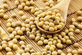 Đậu nành - nguồn dinh dưỡng vàng với 6 lợi ích ít ai ngờ
