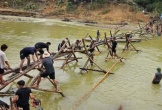 Nghệ An: Huy động lực lượng dựng cầu tạm bằng tre vượt khe Huồi Nguyên
