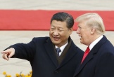 Nhà Trắng: Tổng thống Trump sẽ gặp Chủ tịch Tập Cận Bình tại Hàn Quốc