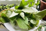 Thường xuyên ăn rau diếp cá, cơ thể sẽ thay đổi như thế nào?
