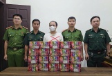 Khởi tố nam thanh niên ở Nghệ An tàng trữ 20 khối pháo trái phép
