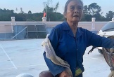 Cụ bà 72 tuổi đạp xe chở 20kg gạo tiếp sức bà con vùng lũ Nghệ An