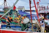 Nghệ An cấm tàu thuyền ra khơi trong bão số 11
