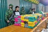 Bộ đội Biên phòng Quảng Trị ngăn chặn 500 kg ma túy qua biên giới