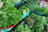 Giá rau xanh tăng gấp 2-3 lần, đắt hơn cả Tết