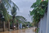 Mưa lớn trong đêm, nhiều khu vực phía Đông Gia Lai ngập trở lại