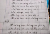 Cậu bé viết thơ nói về biệt tài của mẹ, câu cuối chốt hạ khiến các ông bố đọc phải giật mình