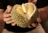 Sầu riêng ngon đến mấy cũng đừng ăn cùng những thứ này kẻo “mang họa vào thân”