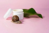 4 lợi ích vượt trội của tinh chất ốc sên trong chăm sóc da