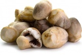 Không chỉ ngon, nấm rơm còn mang đến loạt lợi ích khiến bạn muốn ăn mỗi ngày
