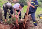 Giải cứu thành công nam thanh niên rơi xuống hố sâu 10m khi đi làm rẫy