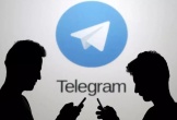 Telegram vừa bị phạt nặng vì điều này