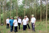 Phó Chủ tịch UBND tỉnh Nguyễn Văn Đệ kiểm tra tình hình sản xuất trồng trọt trên địa bàn huyện Tân kỳ và Diễn Châu