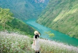 5 điểm du lịch “chữa lành” giúp bạn tìm lại sự bình yên