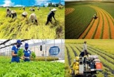 Nghệ An: Triển khai các Nghị quyết HĐND tỉnh liên quan đến lĩnh vực nông nghiệp và môi trường