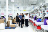 Tập trung giải quyết các kiến nghị của Công ty TNHH VSIP Nghệ An và các doanh nghiệp đang đầu tư tại Khu công nghiệp VSIP