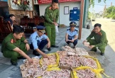 Nghệ An phát hiện gần 500kg chân gà, đuôi lợn không rõ nguồn gốc xuất xứ