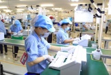 Nghệ An giải quyết việc làm cho 16.400 lao động