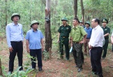 Phó Chủ tịch UBND tỉnh Nguyễn Văn Đệ kiểm tra công tác phòng cháy, chữa cháy rừng tại các địa phương