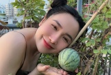 Khu vườn sân thượng ngập hoa trái của 