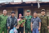 Bé gái 7 tuổi đi lạc trong rừng 2 ngày được tìm thấy như thế nào ?