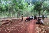 Bàng hoàng phát hiện thi thể nam giới treo lơ lửng trên cây cao su