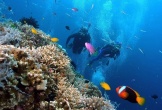 Nha Trang lọt top các điểm đến “du lịch chậm” hàng đầu châu Á