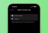 Google Dịch 