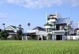Nhà phố mát lịm nhờ giếng trời và ban công xanh mướt