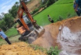 Dịch tả lợn châu Phi bùng phát ở Nghệ An, nhiều nơi diễn biến phức tạp