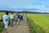 Một người bị sét đánh tử vong khi đang làm đồng